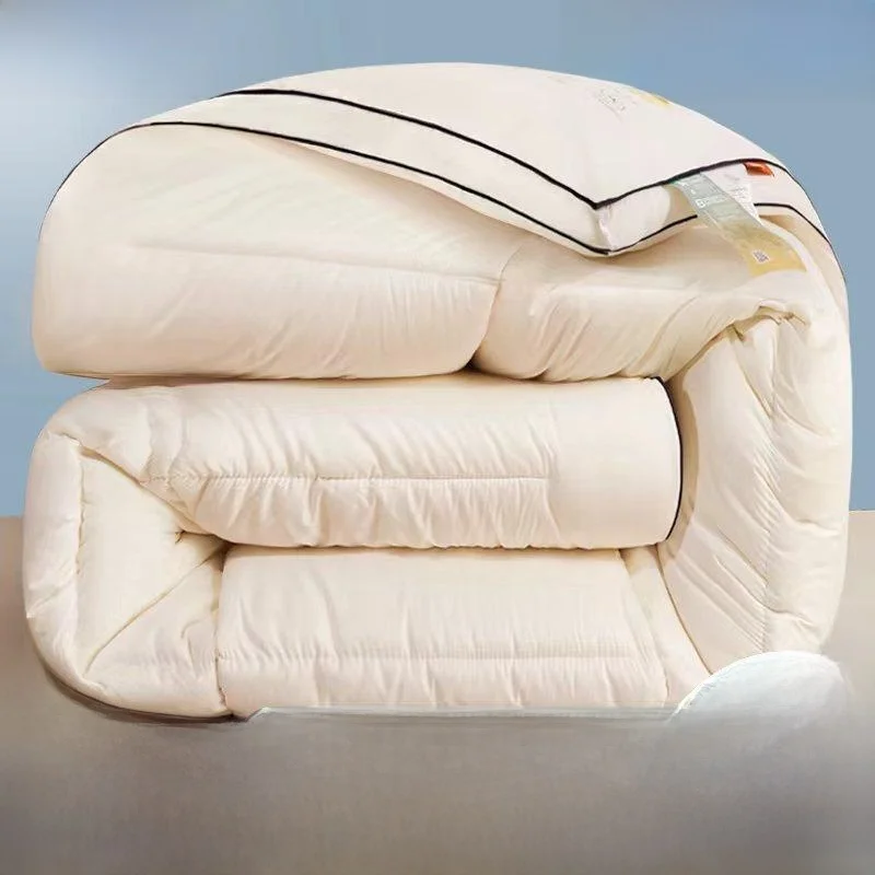 Thick Winter Quilt Duvet Double Layered Warm Student Dormitory Single Air Conditioned Cotton Summer Cool Lightweight Blanket