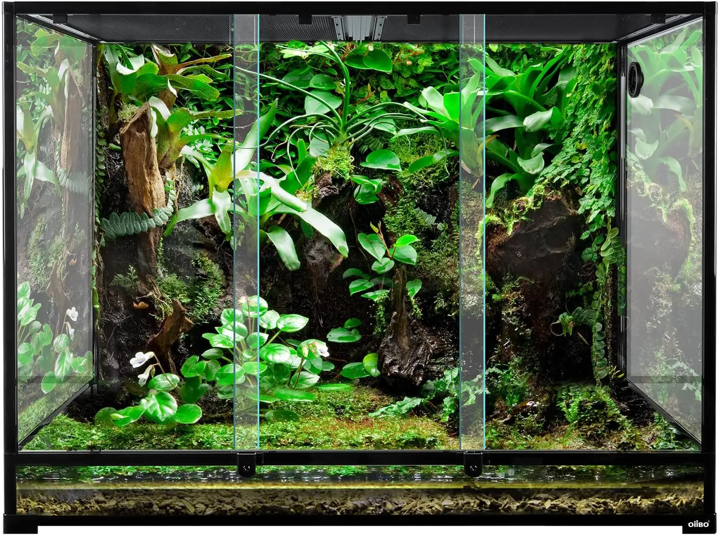 

Tall & Wide Reptile Tank Front Opening Terrarium Tank with Double Sliding Door Top Screen Ventilation Reptile Habitat