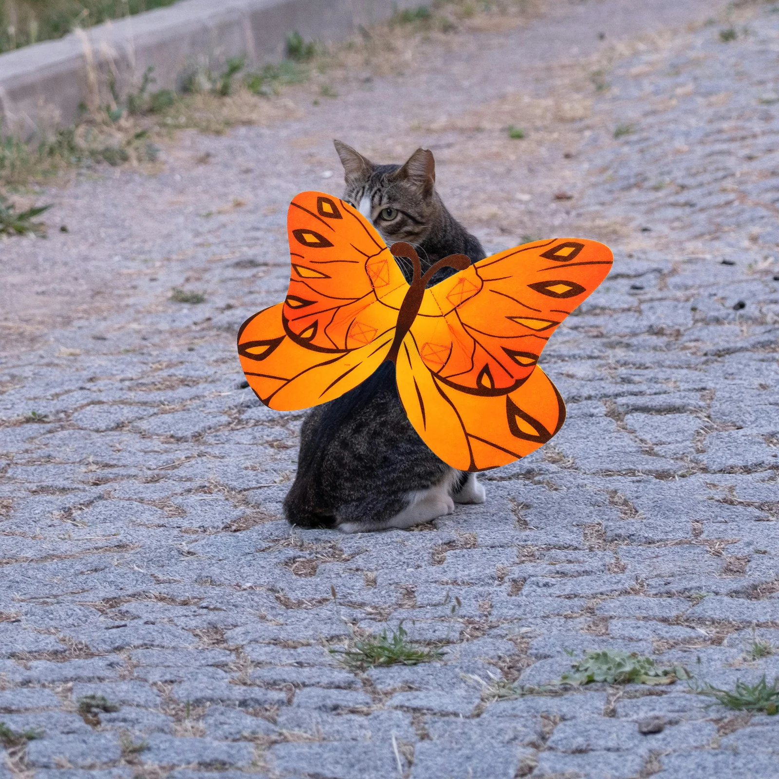 

Dog Cat Butterfly Wings Costume Lightweight Vibrant Prints Halloween Party Photo Prop Cute Pet Clothing Accessory