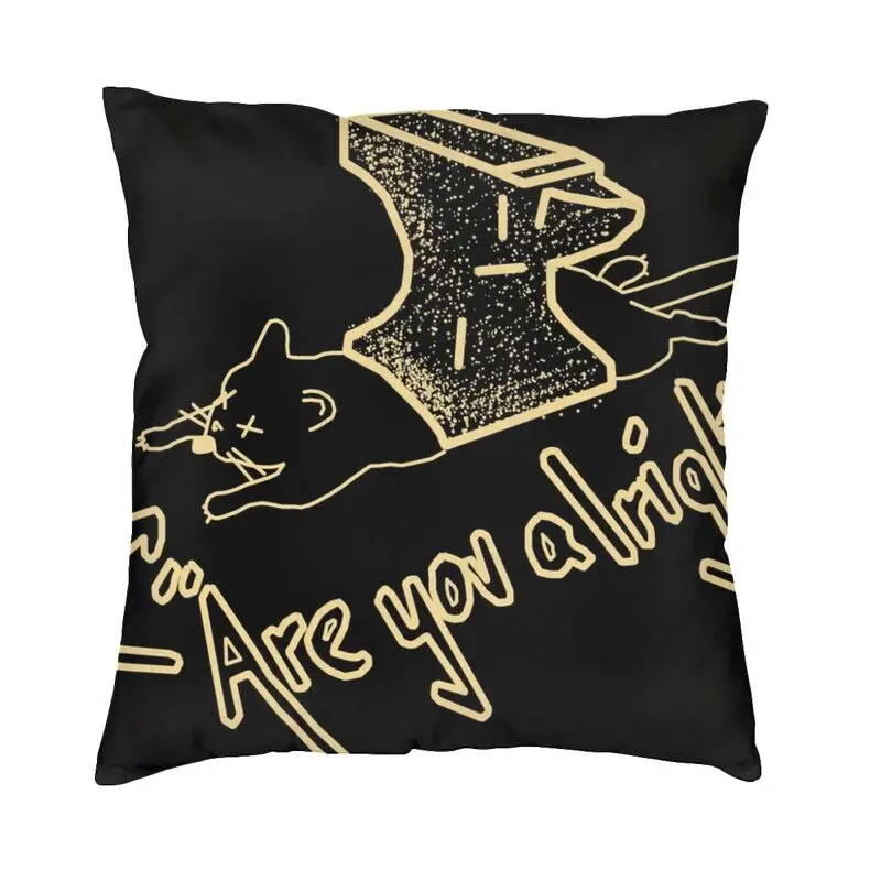 Lovejoy Antique Modern Throw Pillow Cover Bedroom Decoration Are You Alright Chair Cushion