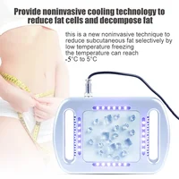 Vente flash Cryotech, machine de cryolipolyse pour la congélation des graisses, sculpture du corps, amincissement, utilisation à domicile, Coolsculpting 3