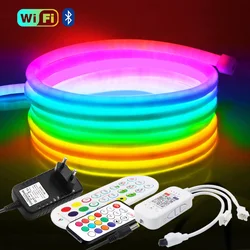 WS2812B Wifi Smart RGB LED Strip Neon Light Rainbow 360 Round Tube Silicone Waterpoof Rope Lights Remote Control 24V Power Kit