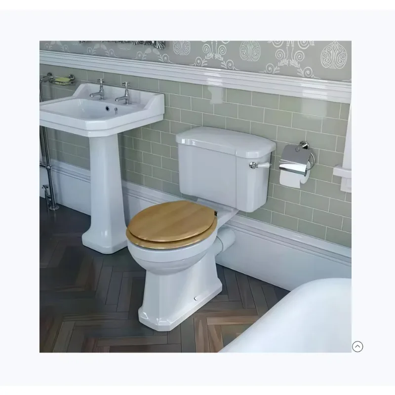 Modern Retro Style Water-Saving Split Toilet American Black Bathroom European Design for Homestay Small Units Ceramic Material