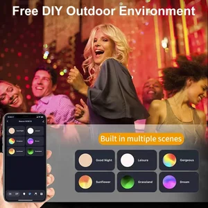 12 büyük satış, led spot ışığı, akıllı numara 11'dir