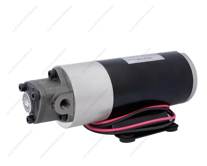 DC 12V/24V AC 220V Diesel Oil Pump Electric Hydraulic Pump Small DC Oil Micro Gear Oil Pump Oiler