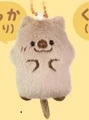 quokka expectantly