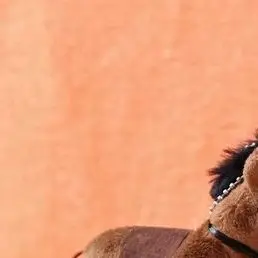 

Long-haired Pony Pendant Soft Brown Horse Plush Horse Doll Stuffed Animal Keychain Girls Bag Pendant Keyring Gifts