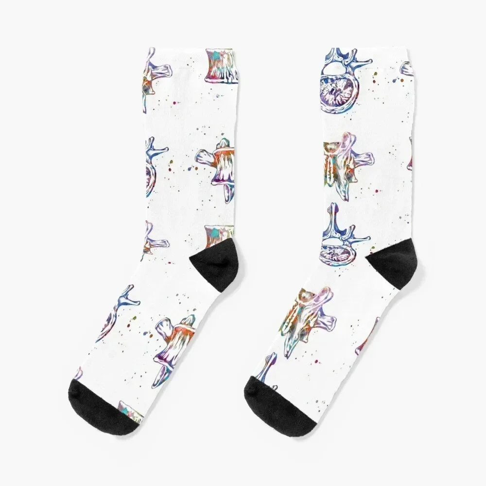 

Vertebrae of the Spine Socks fashionable essential Ladies Socks Men's