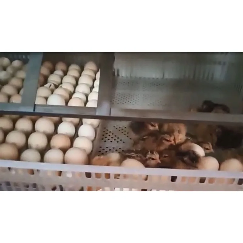 2025U-BEST Large Chicken  With High Hatching Rate Automatic Turning PP Material Farm Use 220V