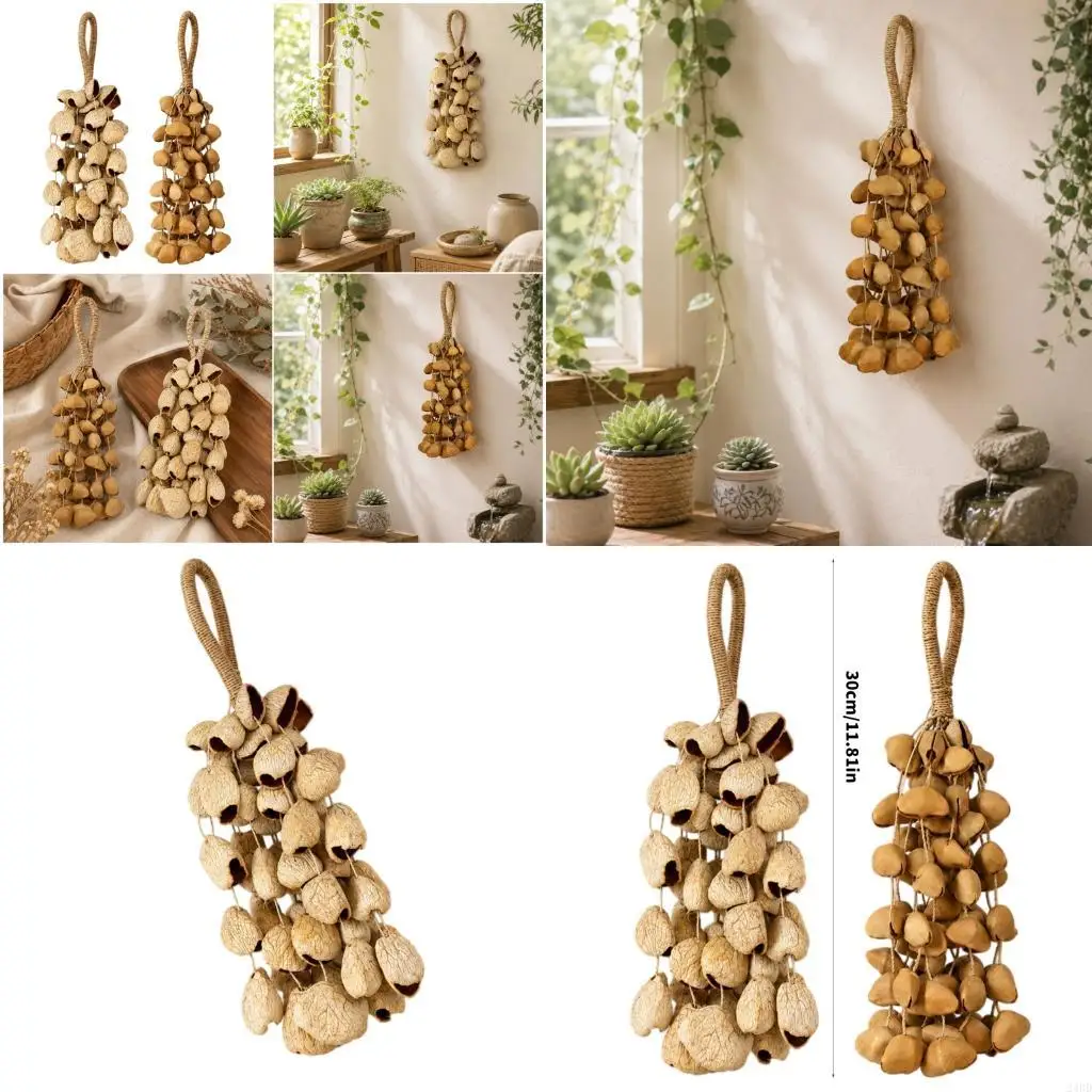 

Sound Heal Decoration Fruit Shell Hand Cranked Percussion Shaker 24BD
