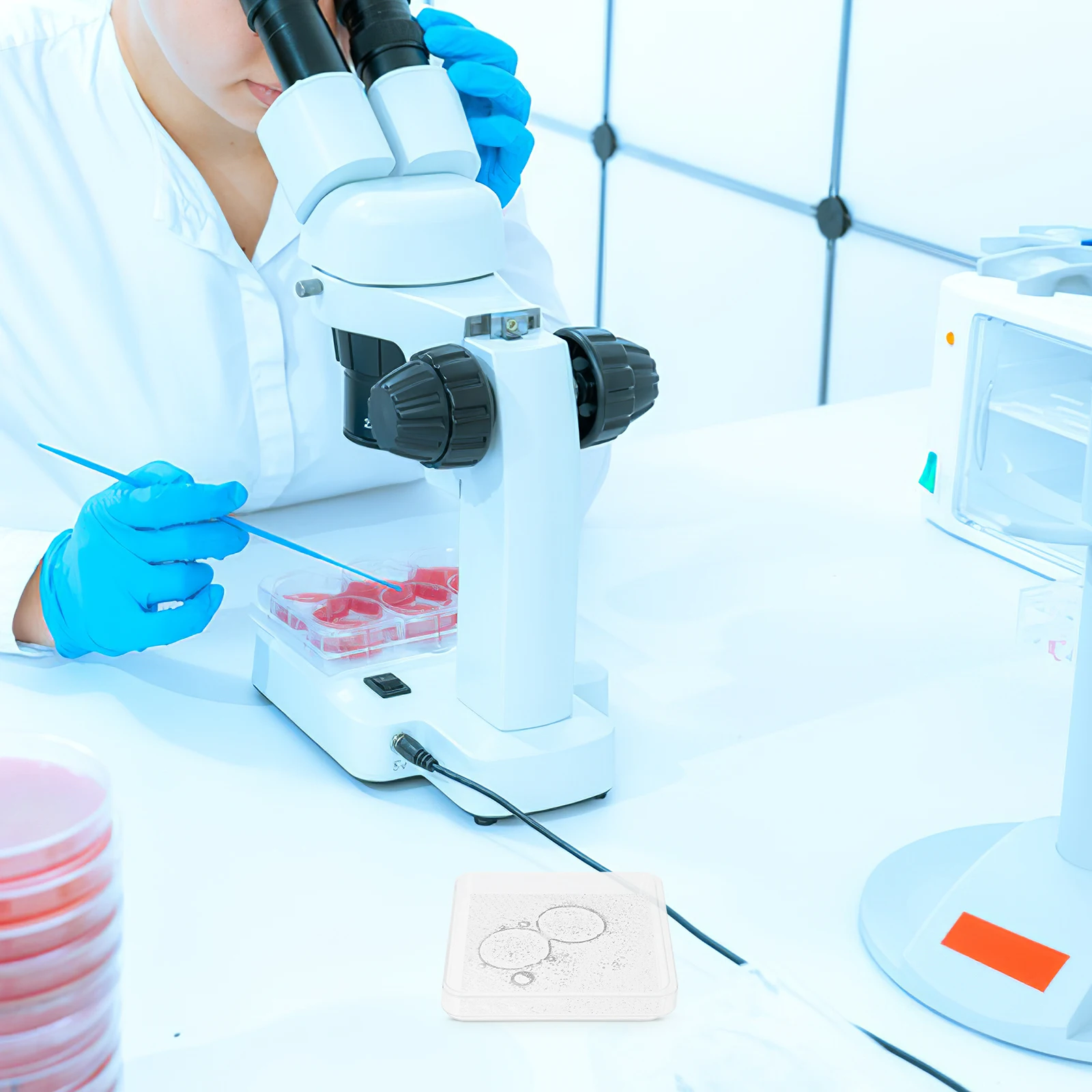 

10Sets Sterile Square Plastic Petri Dishes Disposable Culture Plates for Lab Biology Experiment Scientific Research