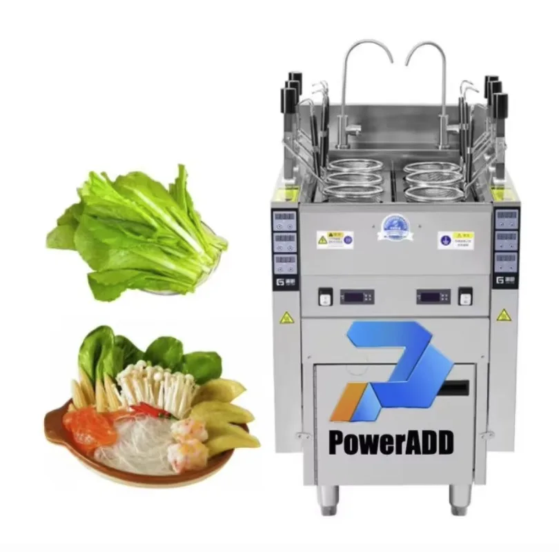 Standing Pasta Cooker Noodle Automatic Lifting up Cooking Boiler Macaroni Spaghetti