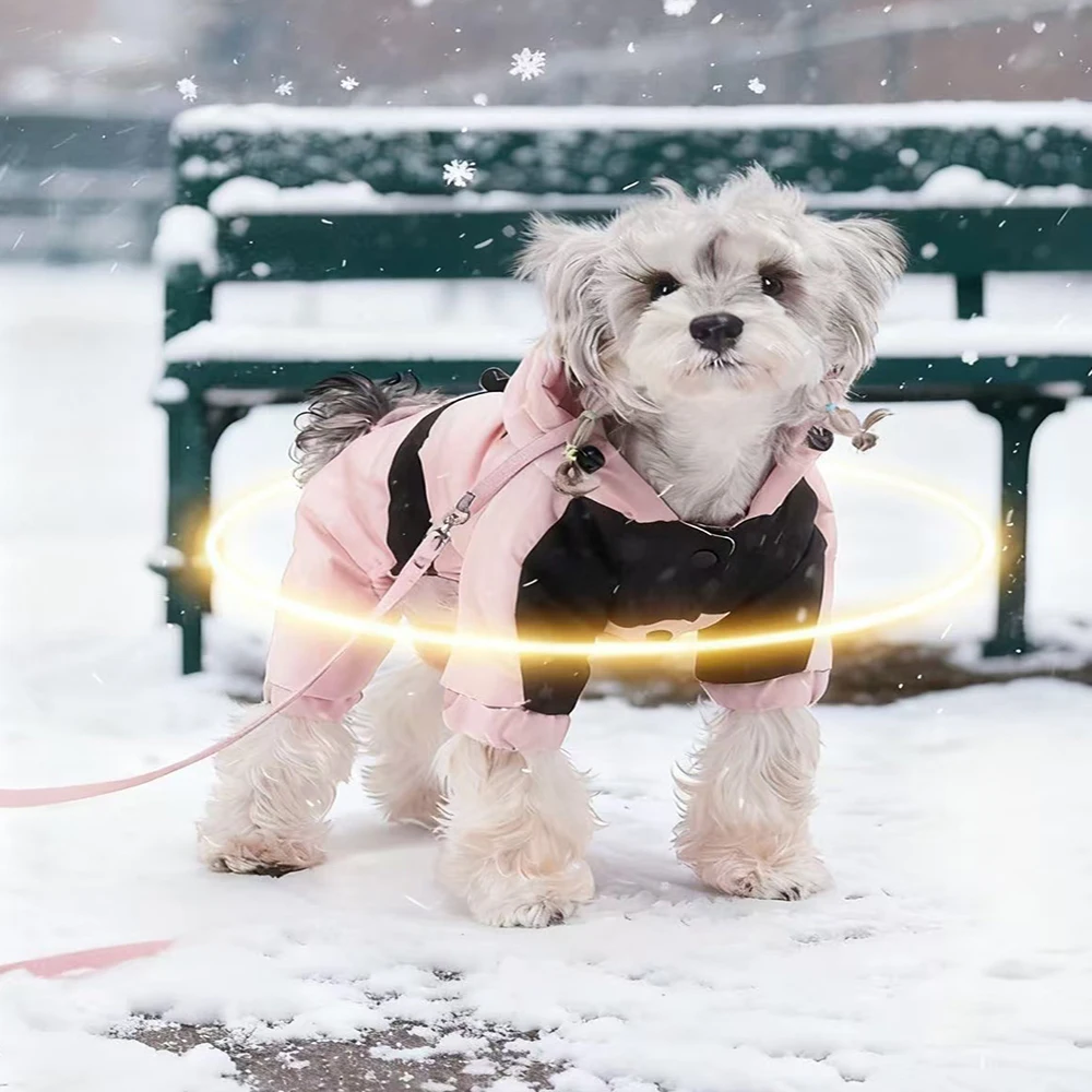 ملابس شتوية للكلاب دافئة مقاومة للماء للكلاب الصغيرة والمتوسطة بذلة تشيهواهوا ملابس الجرو سترة قطن جرافين بغطاء للرأس