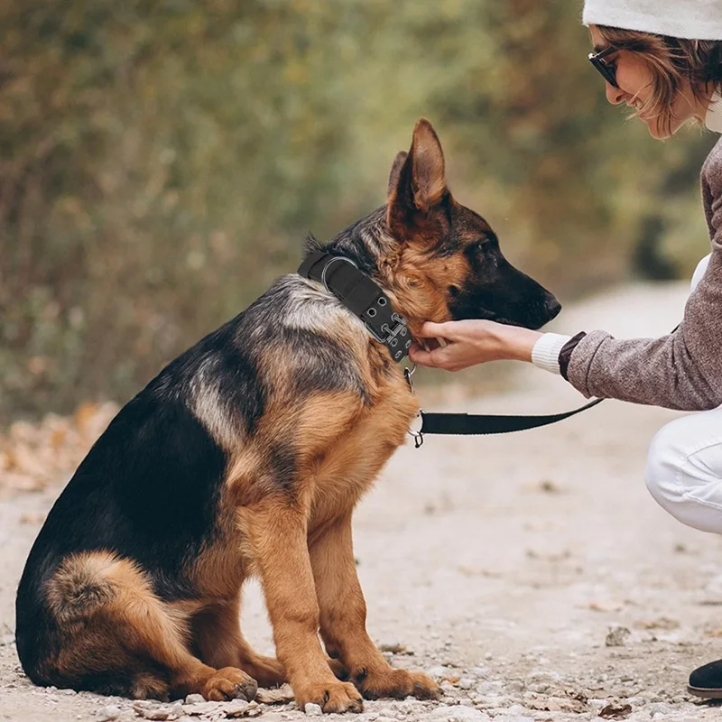 Hundehalsband, strapazierfähig, verstellbar, militärisches Haustierhalsband, taktisches Leinen-Set, Nylonhalsband, Zubehör für die Ausbildung von mittelgroßen und großen Schäferhunden – Detail 5