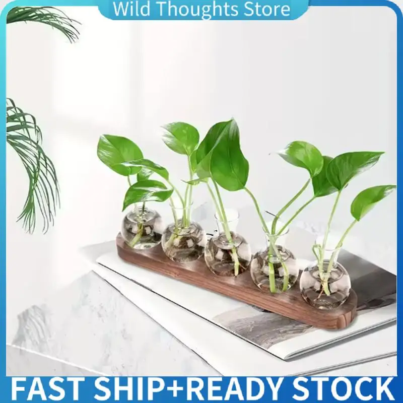 

Plant Terrarium Glass Vase Modern Transparent With Wooden Tray, Indoor Desktop Decor-[Qahk]