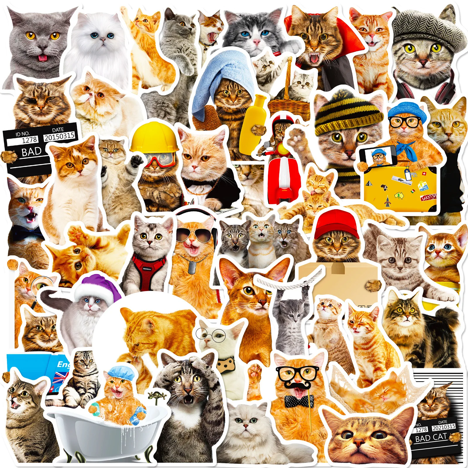 

50PCS Funny Cute Realistic Cat Sticker Waterproof Decals Skateboard Phone Kettle Bike Laptop Fridge Graffiti Kids Rewards