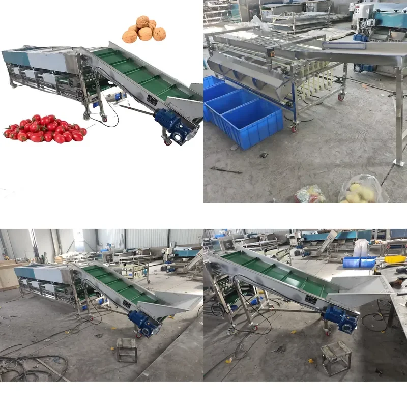 for Blueberry Size Sorter Grader Fruit Cherry Tomato Sorting Machine Apple Citrus Onion Selector Fruit Grading Machine