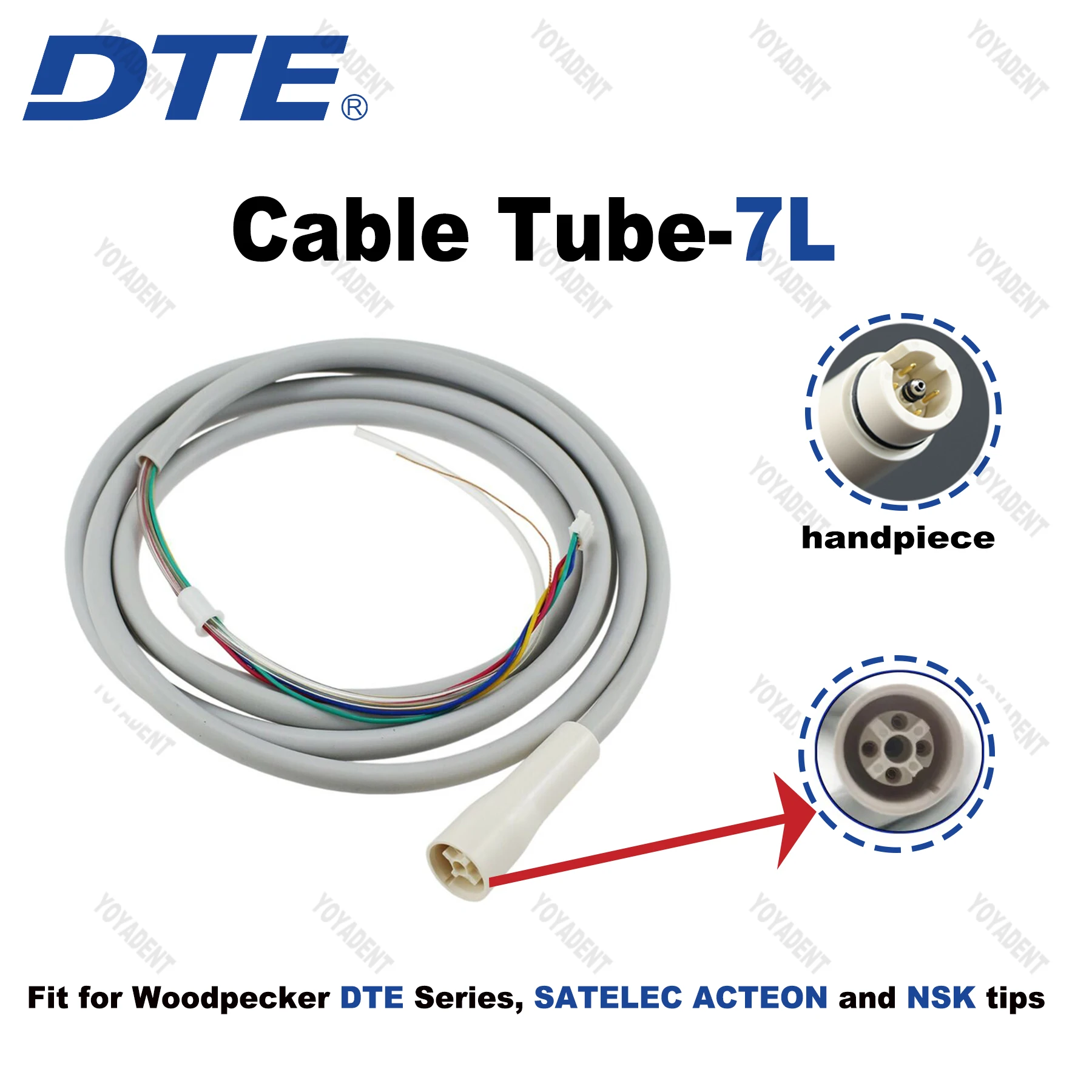 Originele Specht DTE Tandheelkundige Ultrasone Scaler Handstuk LED Licht HW-6L HW-5L HD-7L HD-7H HW-3H Fit EMS NSK SATELEC ACTEON