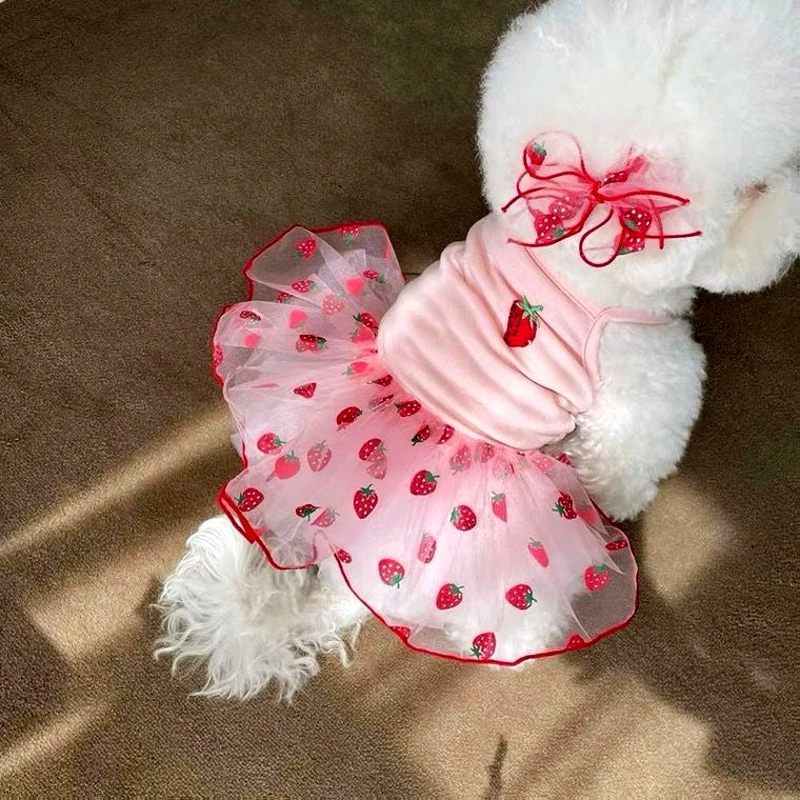 Spoil your beloved furry friends with this high-quality, fashionable, and stylish adorable cute strawberry print suspender skirt