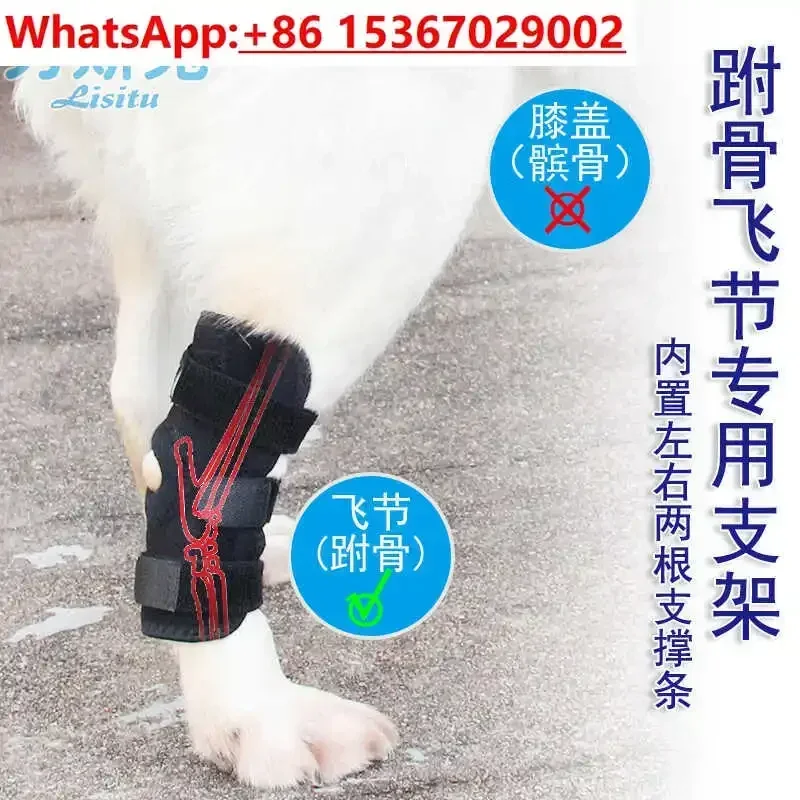 Dog tarsal joint protective cover Elderly dog Hindleg weakness Auxiliary straps Knee pads Fixation splints
