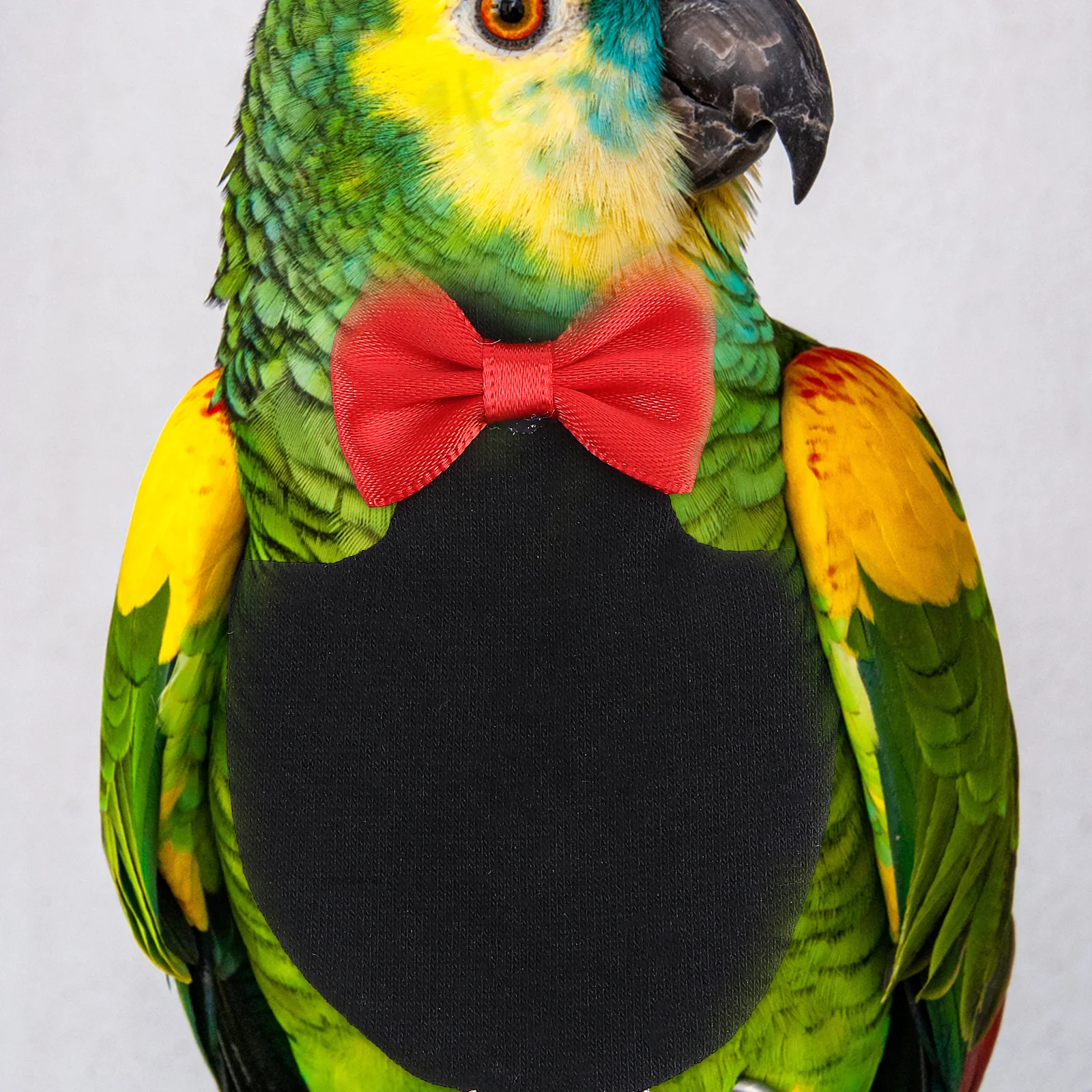 

Parrot Diaper Pet Bird Bowknot Design Black Absorbent Suitable for Cockatiel Parakeet Bird Pant Parrot Diaper Pet Flying Costume