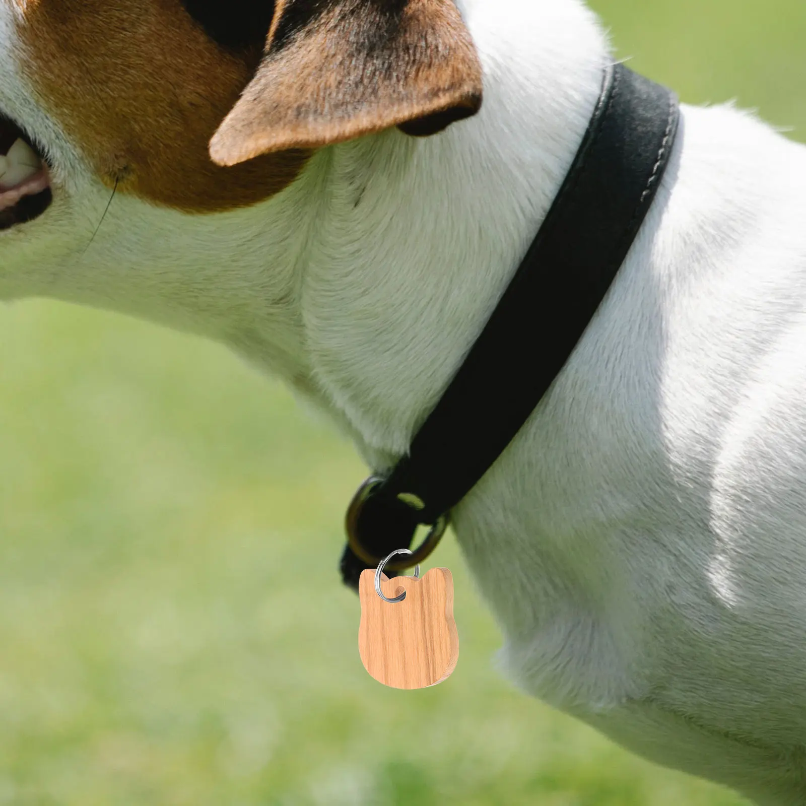 

3pcs Cat Head Shaped Wooden Dog Tags for Pets Collar Name Tag DIY Engraving Puppy ID Labels Blank Accessories Dog Collar Pet