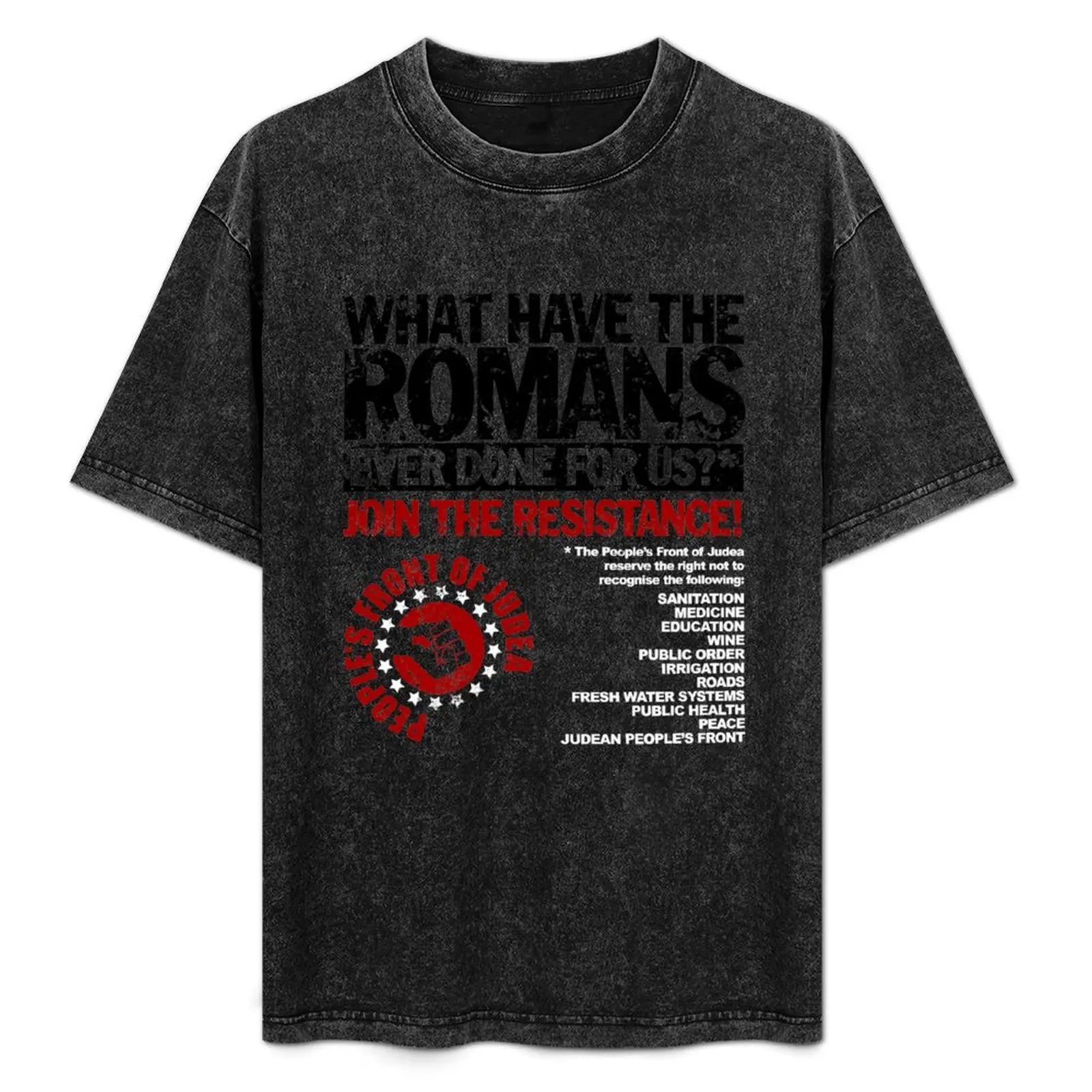 

What Have The Romans Ever Done For US T-Shirt essential t shirt mens graphic t shirts T-Shirt
