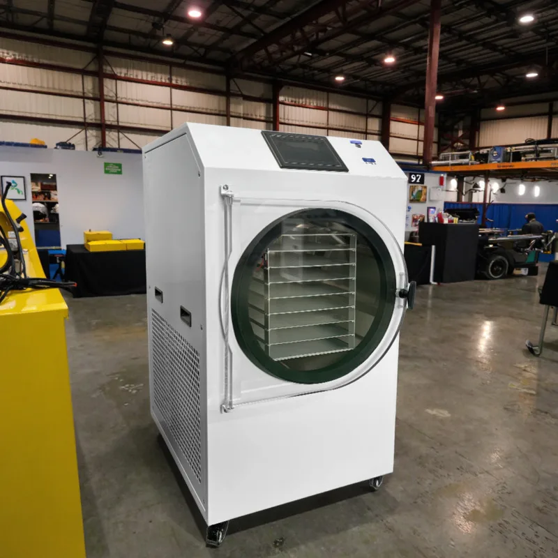 Máquina de secado automática controlada por PLC, liofilizador de frutas y café seco para procesamiento de alimentos