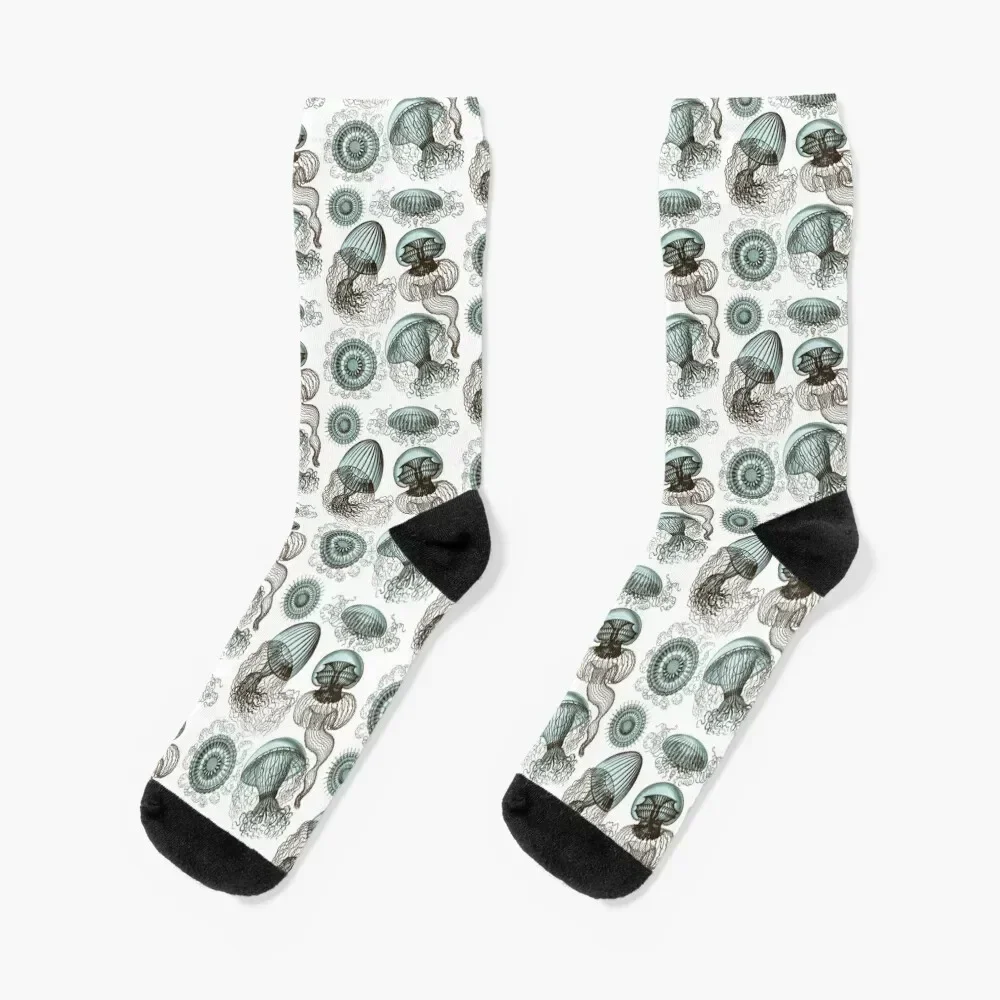 Ernst Haeckel Jellyfish Leptomedusae Brown Teal Socks cute christmas gifts sports stockings Socks Women Men's