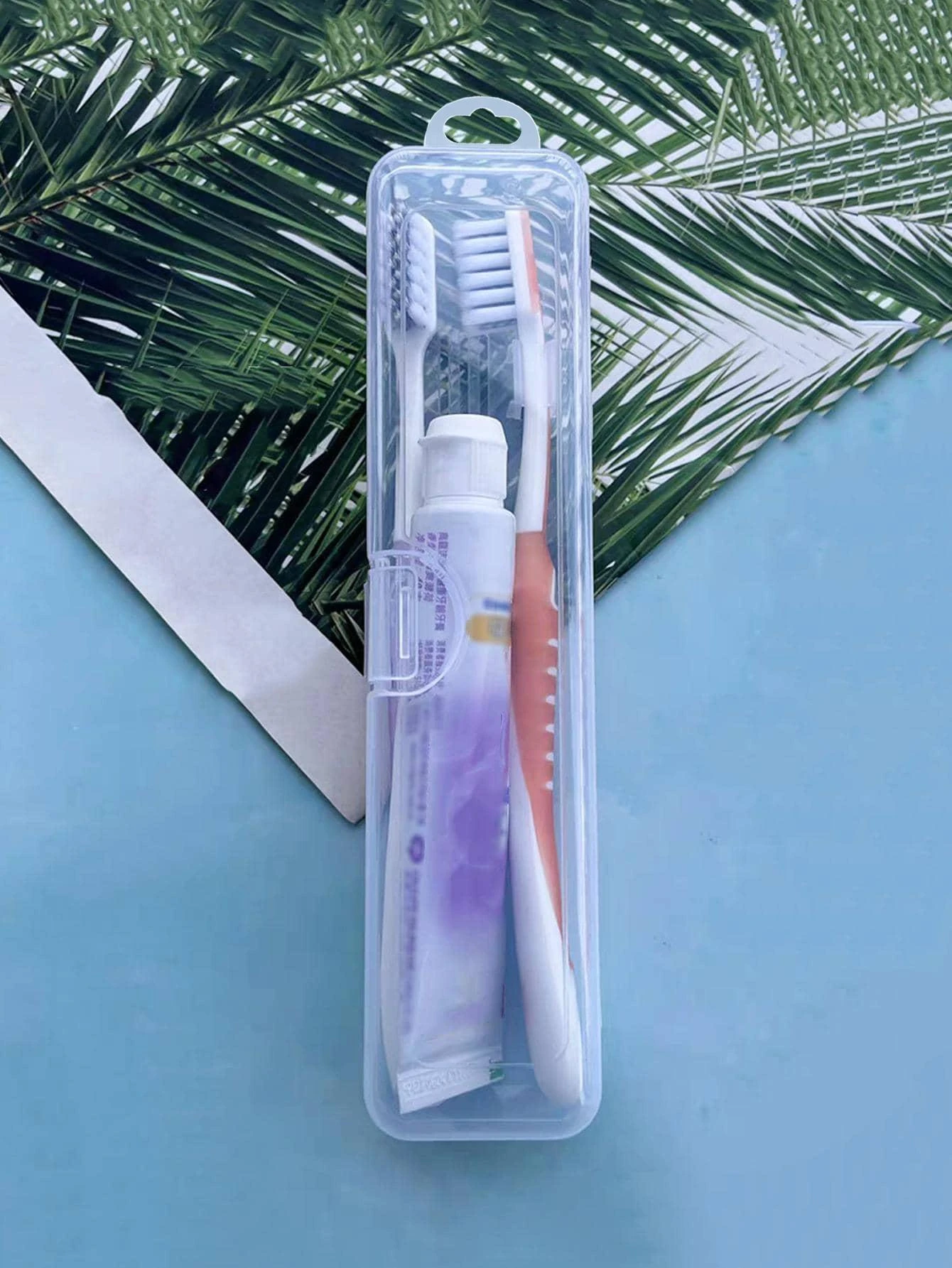 1pc Clear Portable Toothbrush Storage Box, Modern Plastic Travel Toothbrush Storage Box For Outdoor