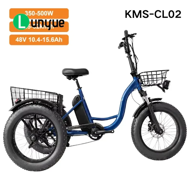 20 Inch Wide Tire 3 Wheel Electric Tricycle for Adults 48V 350-500W 7 Speed Mechanical Disc Brake Cargo E Trike