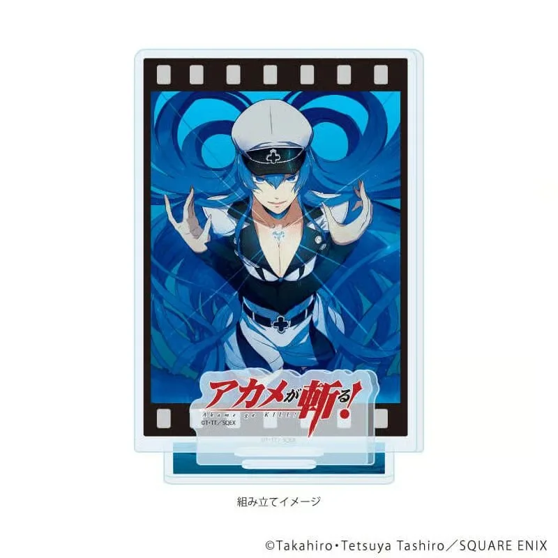 15CM NEW Acrylic Keychain Model Cosplay Charm Characters Ornament Accessories Goods Collection Gifts Anime ‌Akame Ga Kill