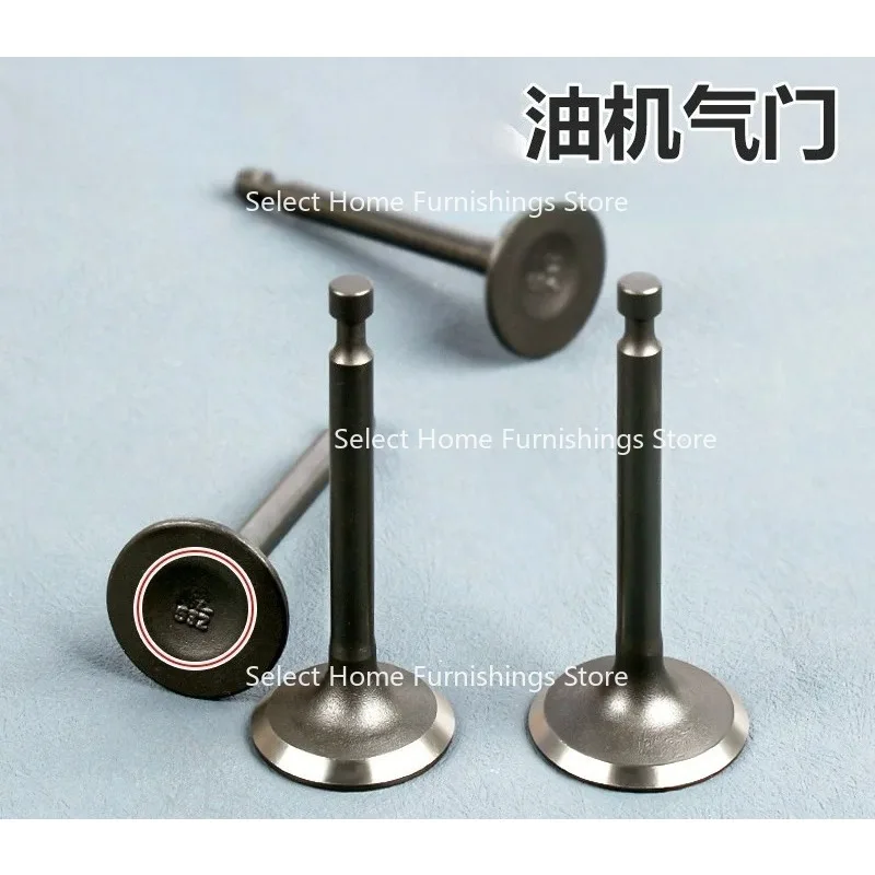 Suitable for Micro Tiller Generator Household Suction Pump Valve Rod Cylinder Head Intake and Exhaust Valve