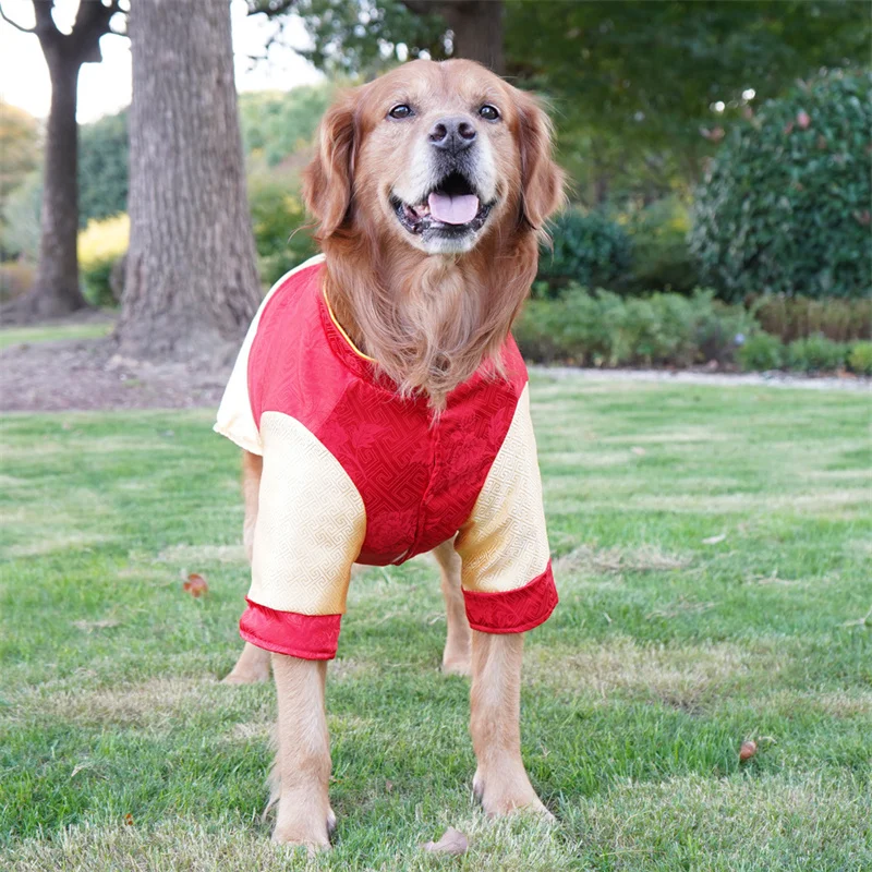 ملابس كلب كبيرة وكبيرة شيونغسام ملابس كلب السنة الجديدة بدلة تانغ لابرادور جولدن ريتريفر باردر كولي هاسكي سامويد معطف كلب #3