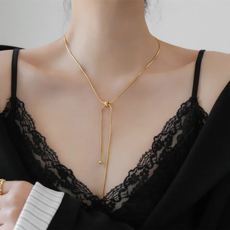 Simple Waterproof Snake Bone Chain Necklace Fashion Titanium Steel Adjustable Drawstring Necklace Vintage Niche Design Jewelry