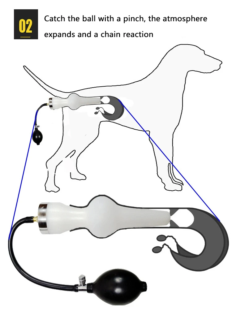 Inseminação Artificial Fertilidade Tratamento, Digital Ai