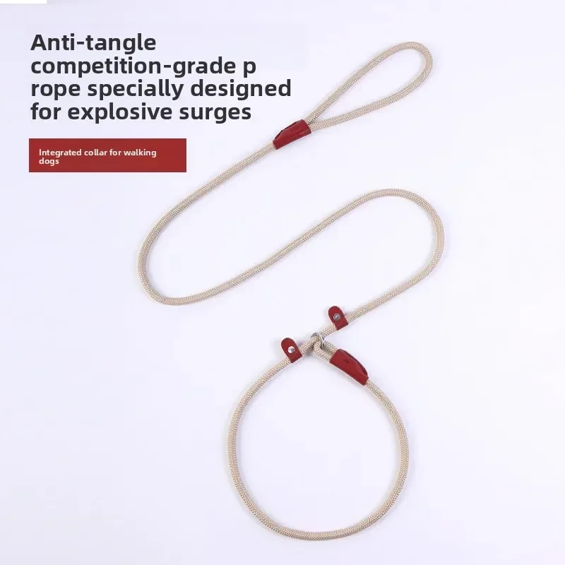 Anti-Pull Dog P Rope Slip Lead, Integrated Thickened Pet Walking Leash, Training P-Leash for Large Dogs, Wholesale Pet Supplies