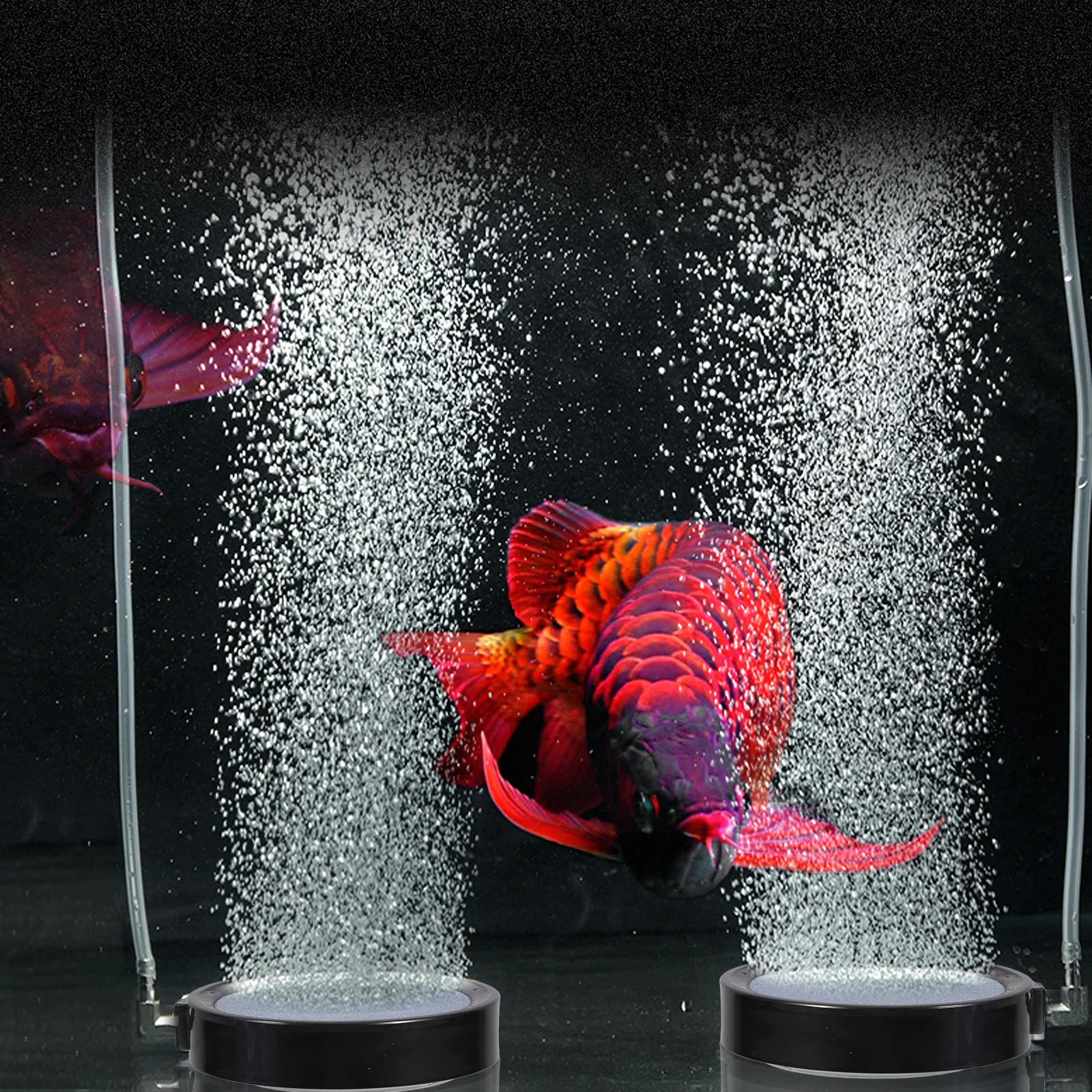 

Replaceable Aquarium Bubbler Stone Uniform Air Diffusion for Fish Tanks Oxygen Enrichment Filtration System Reusable Smooth