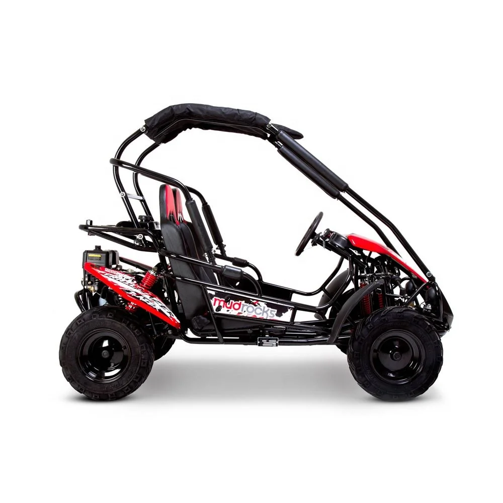 Tao Motor 200cc Motor 125cc Automatic Hyper Go H14bm 1/14 Brushless Rc Cars for Adults F Mini Car 150 Cc 36V Buggy 150cc 10inch view 4