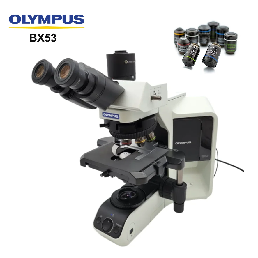 Binocular Electronic Olympus BX53 Semi-Motorized Fluorescence Microscope 7