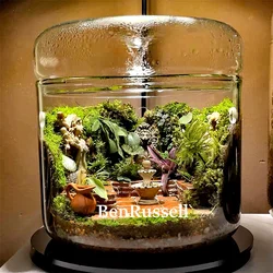 Micro Landscape Glass Bottles With Dew Collection Cover Glass Vase Landscaping Succulent Moss Bansai Landscape Glass Terrarium