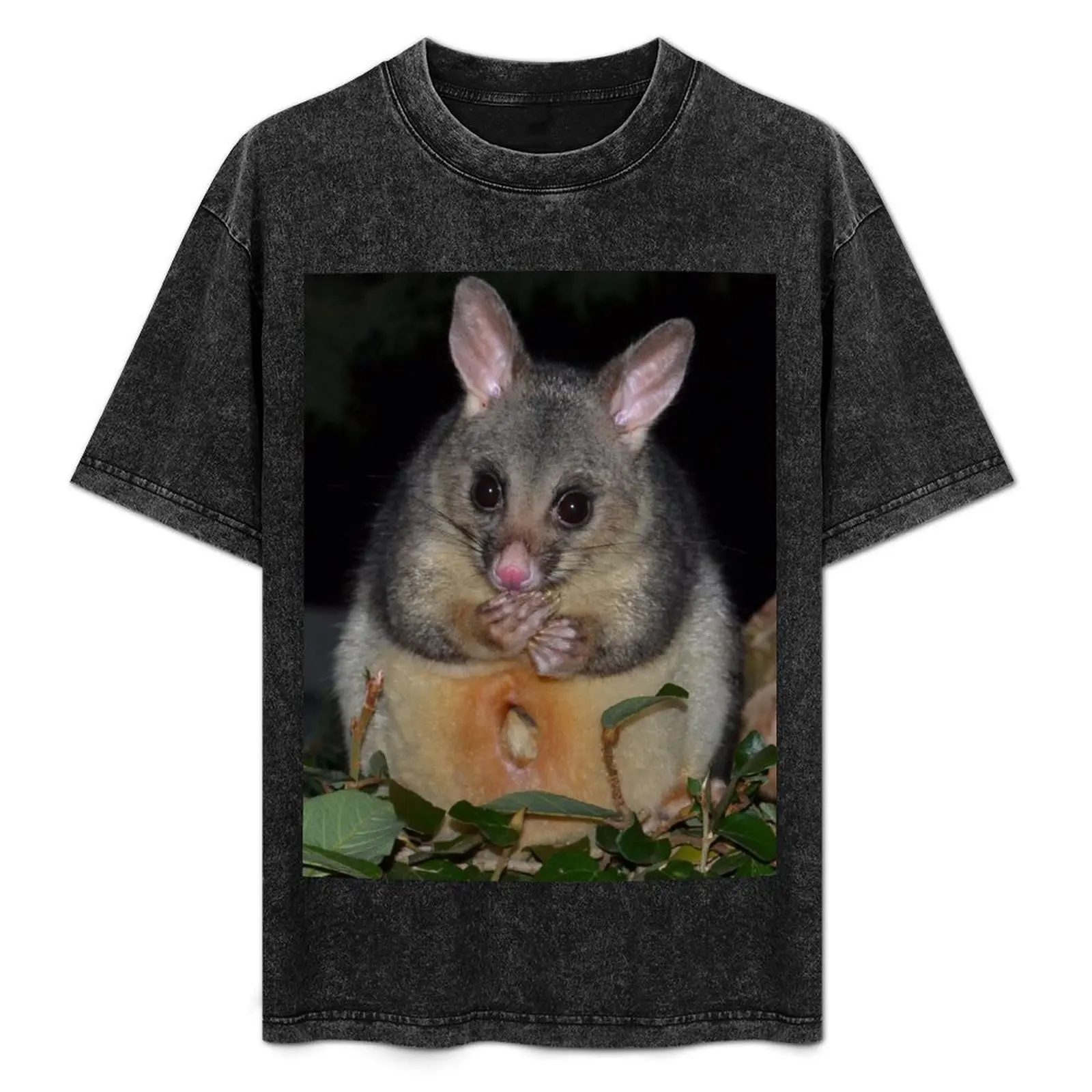 

Possum T-Shirt summer top korean fashion shirts graphic tee mens fashion