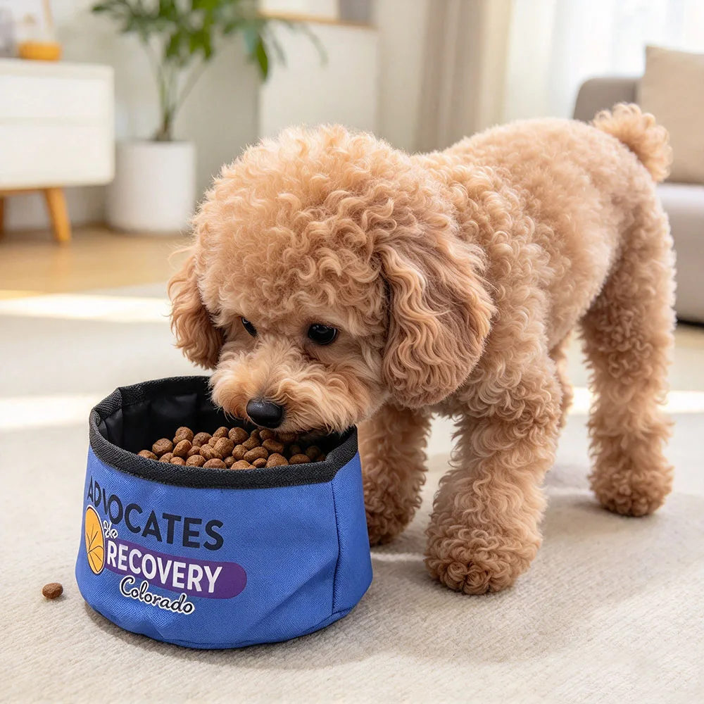 Collapsible Pet Bowl, Waterproof Oxford Cloth Dog Cat Feeding Bowl for Outdoor Travel