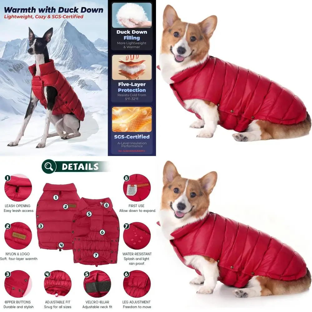 

Red XL+ Size Lightweight & Durable Winter Coat for Large Dogs, Ideal for Cold and Windy Outdoors