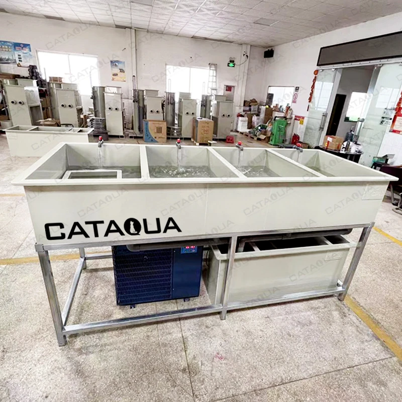 Tilapia Fish Incubator Fish Egg Incubator Hatchery  Incubator Hatching Trays For Indoor Fish Farm