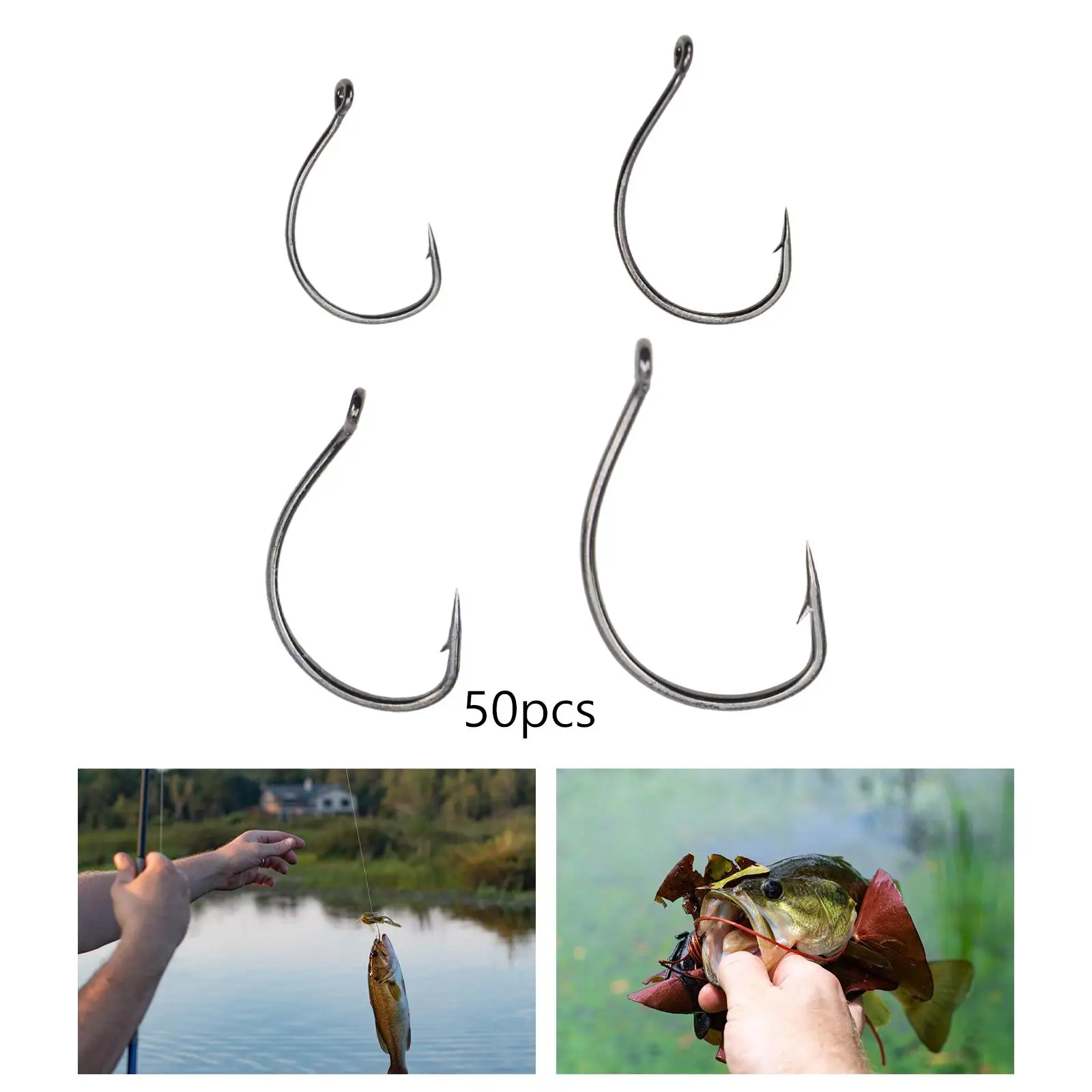 50x Fishing Hooks Set Circle Hooks Tools Gear Strong Outdoor Equipment Fishing Hooks Catfish Hooks for Fishing Catfish