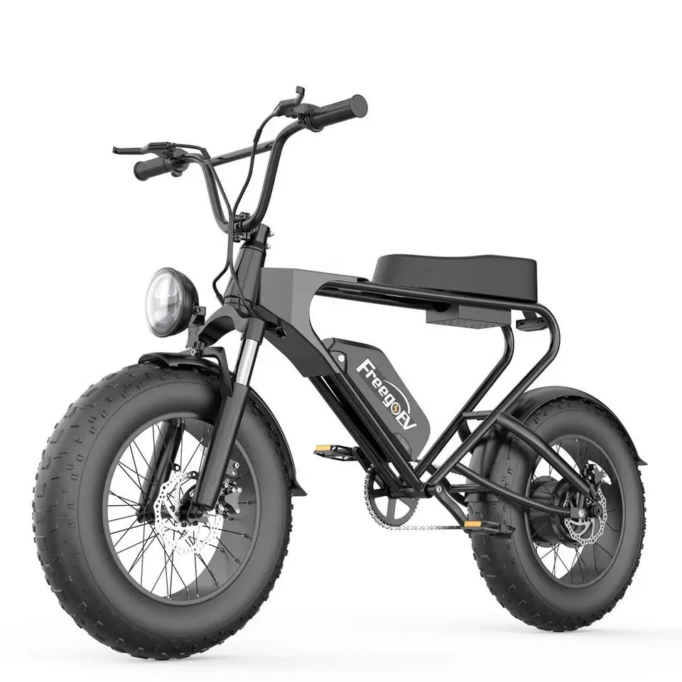 1200W Electric Dirt Motorbike 20