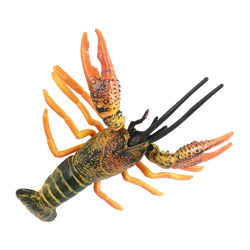 

Creative Simulation Lobster Marine Animal Educational Science Cognitive Desktop Ornament Unique Interactive Kids Learning Gift