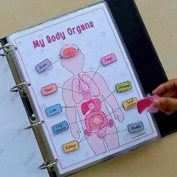 La biologie interprète parfaitement l'anatomie humaine, livre occupé pour les étudiants à apprendre Leone nition