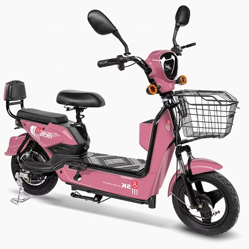 Kelansini Factory's High Quality Electric Bicycle for Adults 48v20ah Rear Hub Motor with 48v20ah Lead Acid Battery Cheap Price